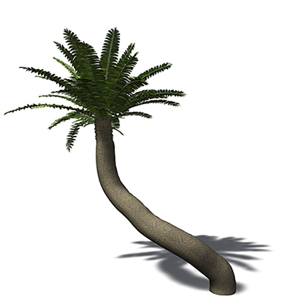 3ds max xfrogplants bushman - XfrogPlants Bushmans River Cycad by xfrog