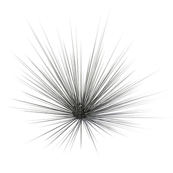 xfrogplants long-spined sea urchin 3ds - XfrogPlants Long-spined Sea Urchin by xfrog
