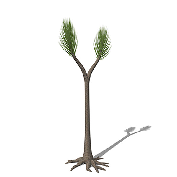 xfrogplants sigillaria plant 3ds - XfrogPlants Sigillaria by xfrog