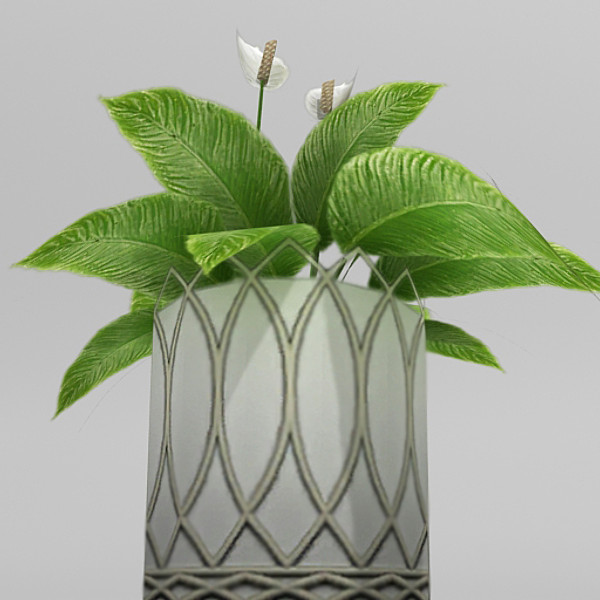 3ds max spathiphyllum flower - Spathiphyllum by fabelar