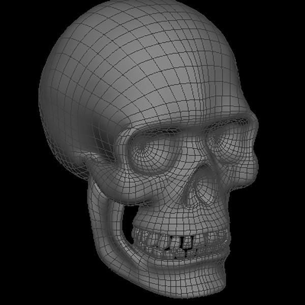 maya human skeleton - Human Skeleton by Fredrikivan