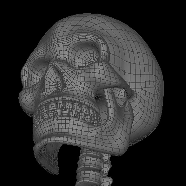 maya human skeleton - Human Skeleton by Fredrikivan