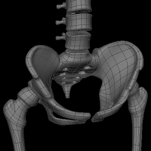 maya human skeleton - Human Skeleton by Fredrikivan