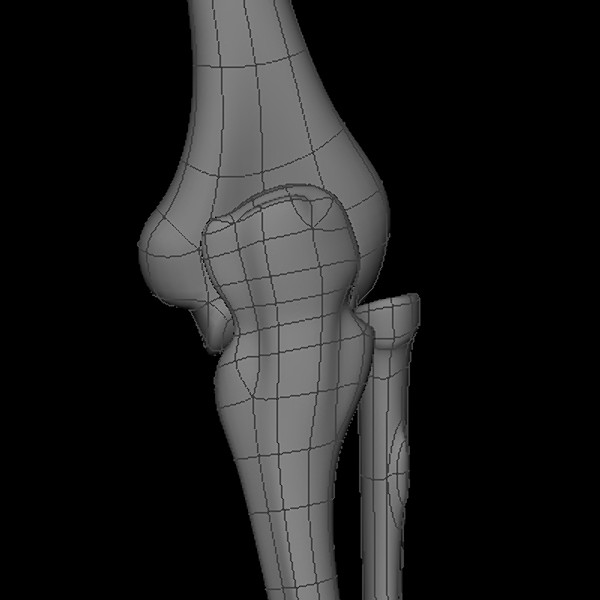 maya human skeleton - Human Skeleton by Fredrikivan