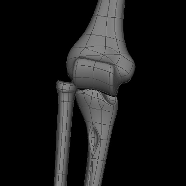 maya human skeleton - Human Skeleton by Fredrikivan