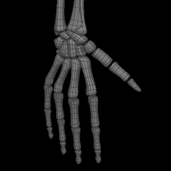 maya human skeleton - Human Skeleton by Fredrikivan