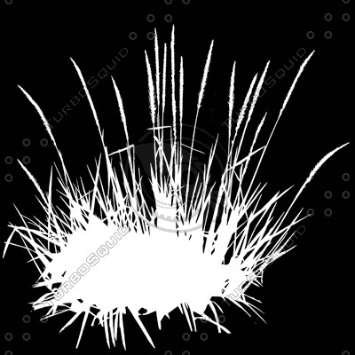 Grass_17.tga