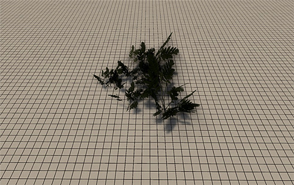 20 Ground Plants