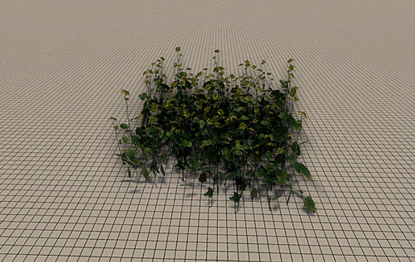20 Ground Plants