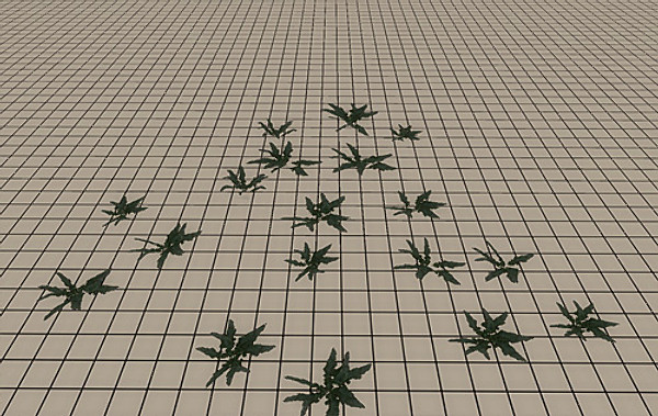 20 Ground Plants