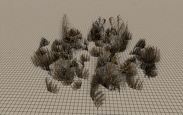 20 Ground Plants
