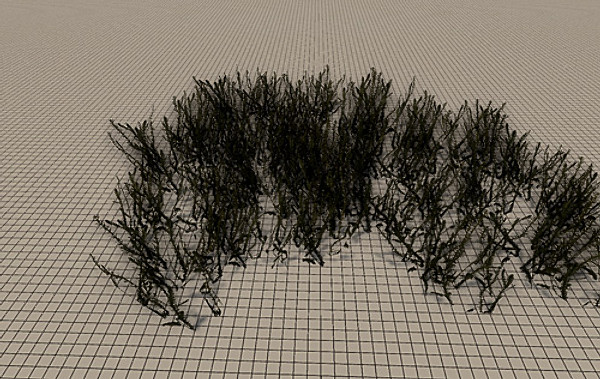 20 Ground Plants