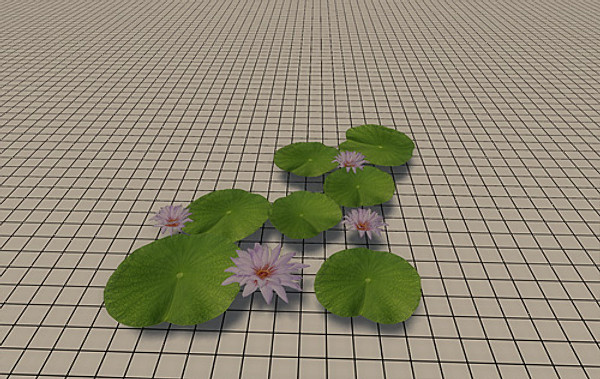 20 Ground Plants