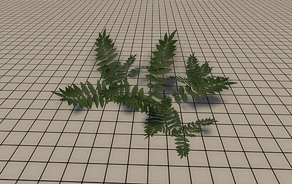 20 Ground Plants