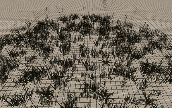 20 Ground Plants
