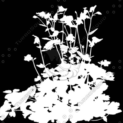 FlowerL_46.tga