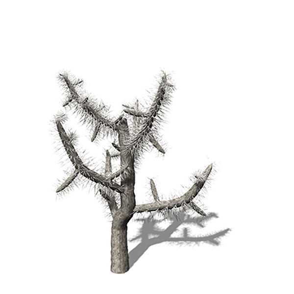 xfrogplants jumping cholla plant 3d model - XfrogPlants Jumping Cholla by xfrog