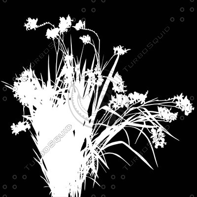 Flowers_N_05.tga