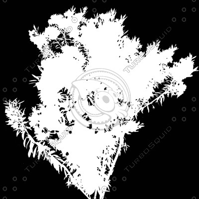Bush_S_15.tga