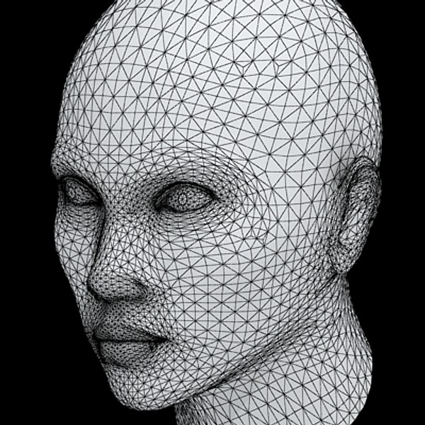 3d model head halle berry - Halle Berry by fabelar