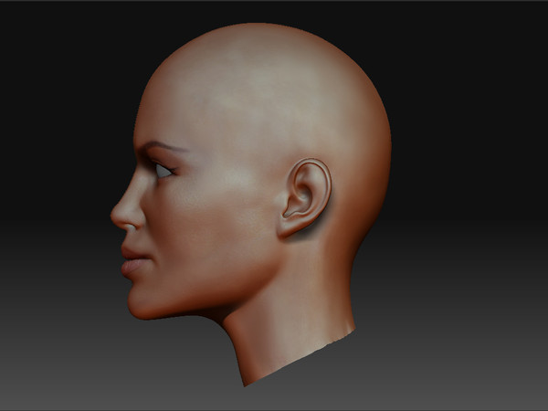 angelina jolie 3ds free - angelina by studio Lab