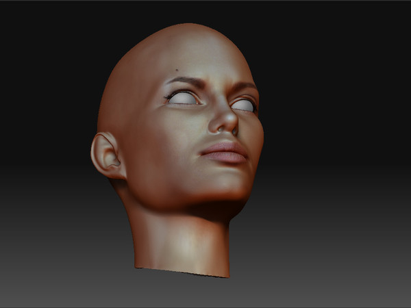 angelina jolie 3ds free - angelina by studio Lab