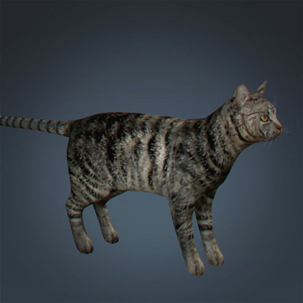 lightwave cat feline - Domestic Cat by NONECG