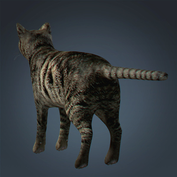 lightwave cat feline - Domestic Cat by NONECG