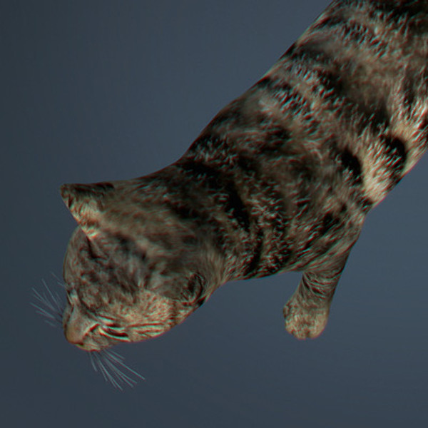 lightwave cat feline - Domestic Cat by NONECG
