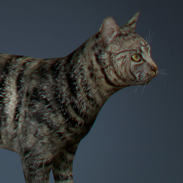 lightwave cat feline - Domestic Cat by NONECG
