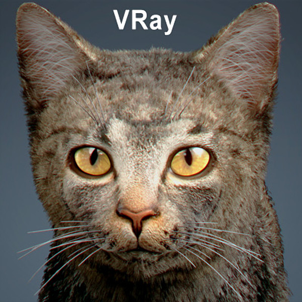 cat hair feline max - Domestic Cat - Hair by NONECG