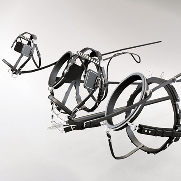 horse harness 3ds - Horse Harness by QLEE