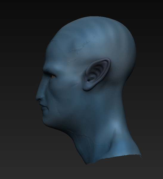 avatar norm 3d model - avatar by dentonvanzan
