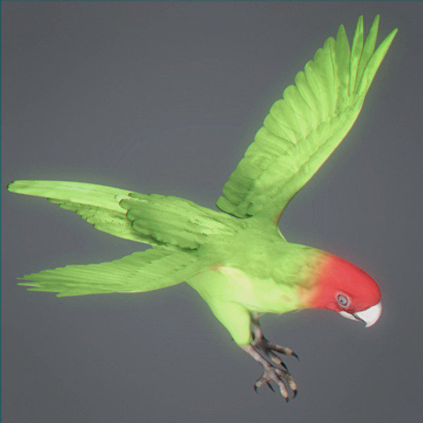 Animated Parrots Pack