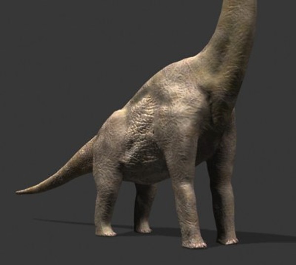 3d model of jurassic brachiosaur - True JP Brachiosaur OBJ by Virtual creator