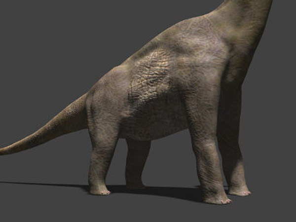 3d model of jurassic brachiosaur - True JP Brachiosaur OBJ by Virtual creator