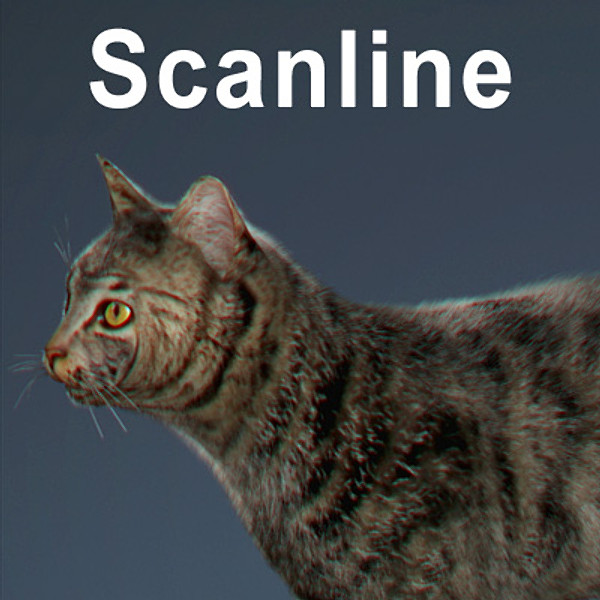 cat hair feline max - Domestic Cat - Hair by NONECG