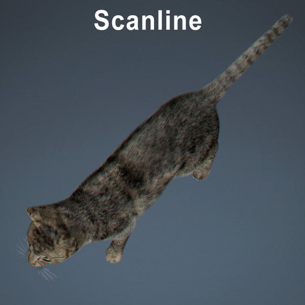 cat hair feline max - Domestic Cat - Hair by NONECG