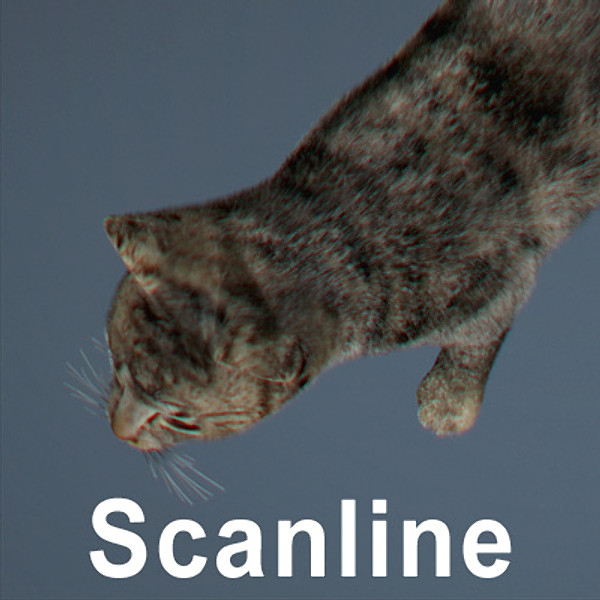 cat hair feline max - Domestic Cat - Hair by NONECG