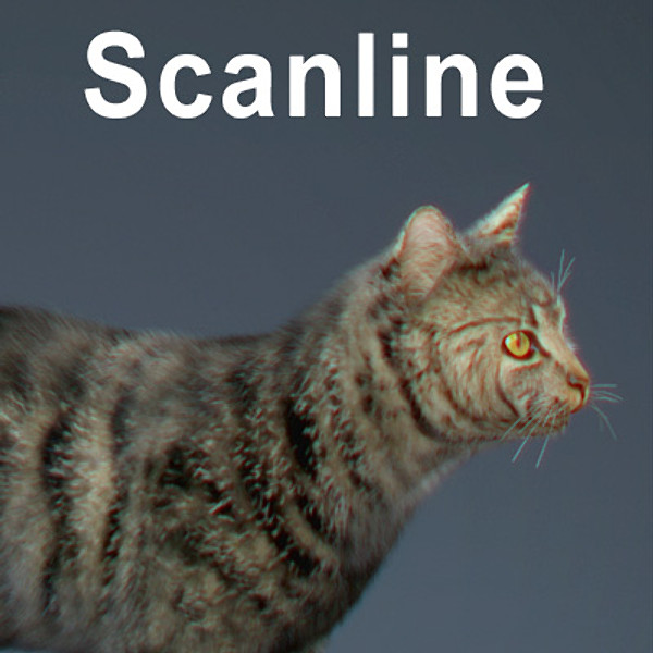 cat hair feline max - Domestic Cat - Hair by NONECG