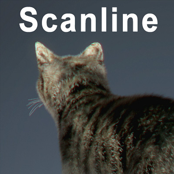 cat hair feline max - Domestic Cat - Hair by NONECG