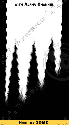 brownHair_018.tga