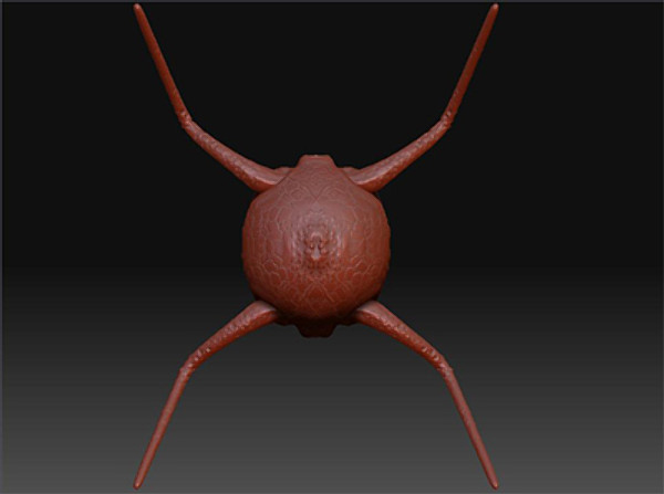 3d spider monster - araxnoid.rar by AStas