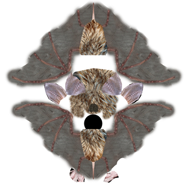 maya bat - Bat Model by therealjz