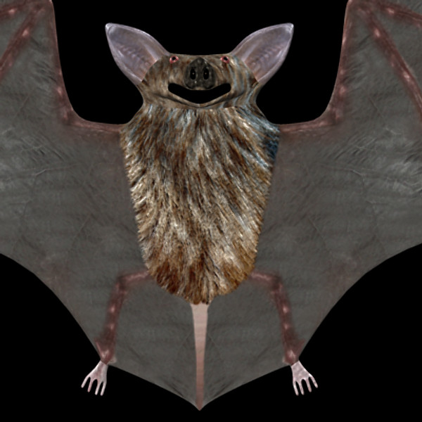maya bat - Bat Model by therealjz