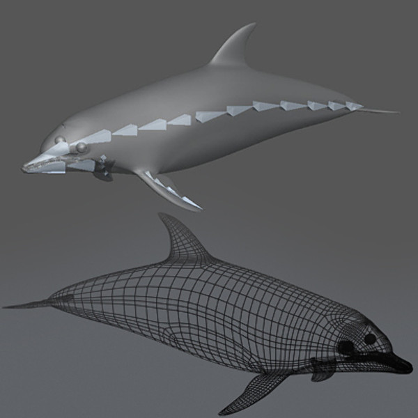 swim animation dolphin bottlenose 3d model - Animated Bottlenose Dolphin... by NONECG
