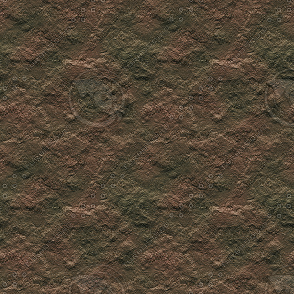 dirt3.jpg