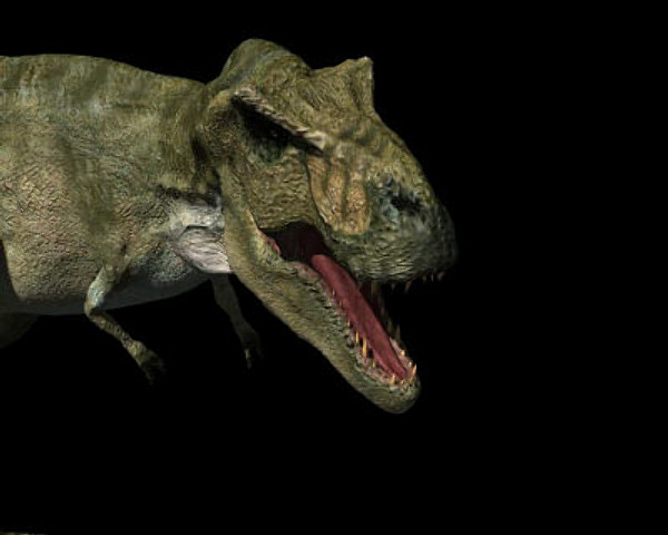 maya jp t rex - True JP T Rex .OBJ by Virtual creator