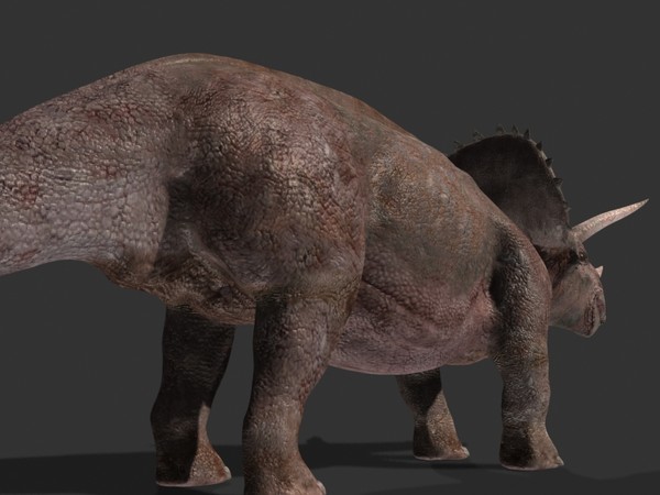 jp triceratops 3d obj - True Jp Triceratops Obj by Virtual creator