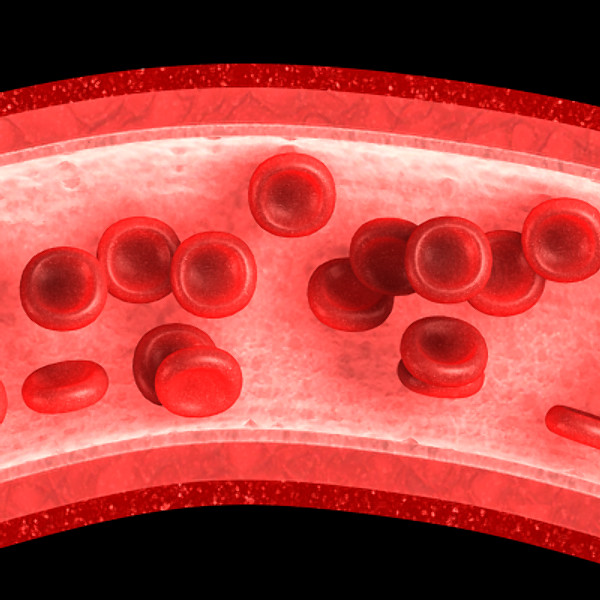 3ds max neuron chromosome blood vessel - Neuron, Chromosome, Blood Vessel by TurboPhoton